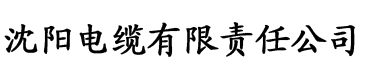 yy4080理论片在线观看电缆厂logo